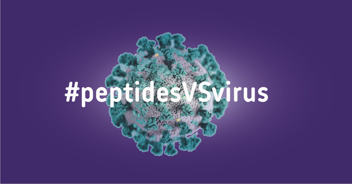 Belyntic tweet media