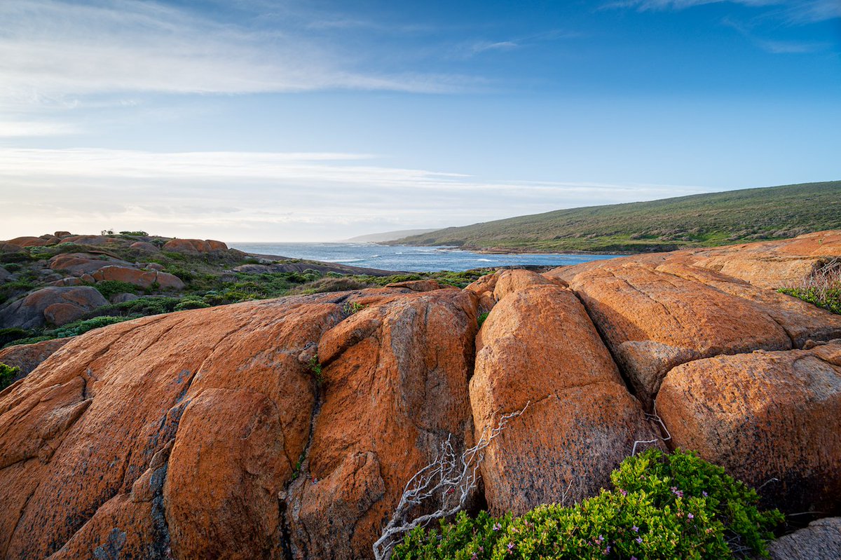 Vicki-Louise 🇦🇺 tweet media