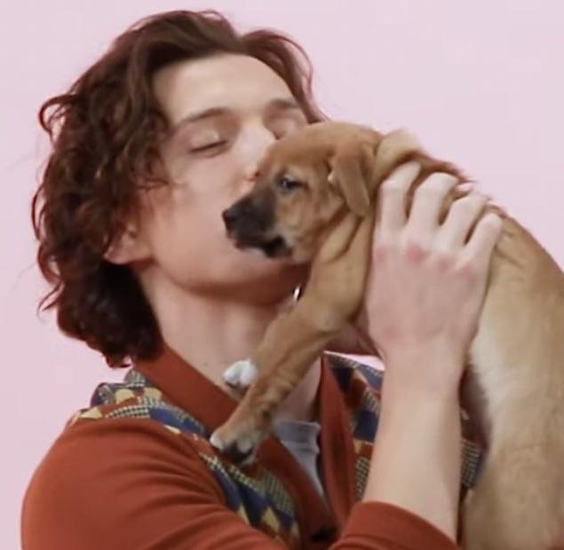 greeny0003's tweet photo. сходить к психотерапевту: ❌❌❌
посмотреть tom holland + puppies 109039 раз: ✅✅✅ https://t.co/mnKQaMsiKp