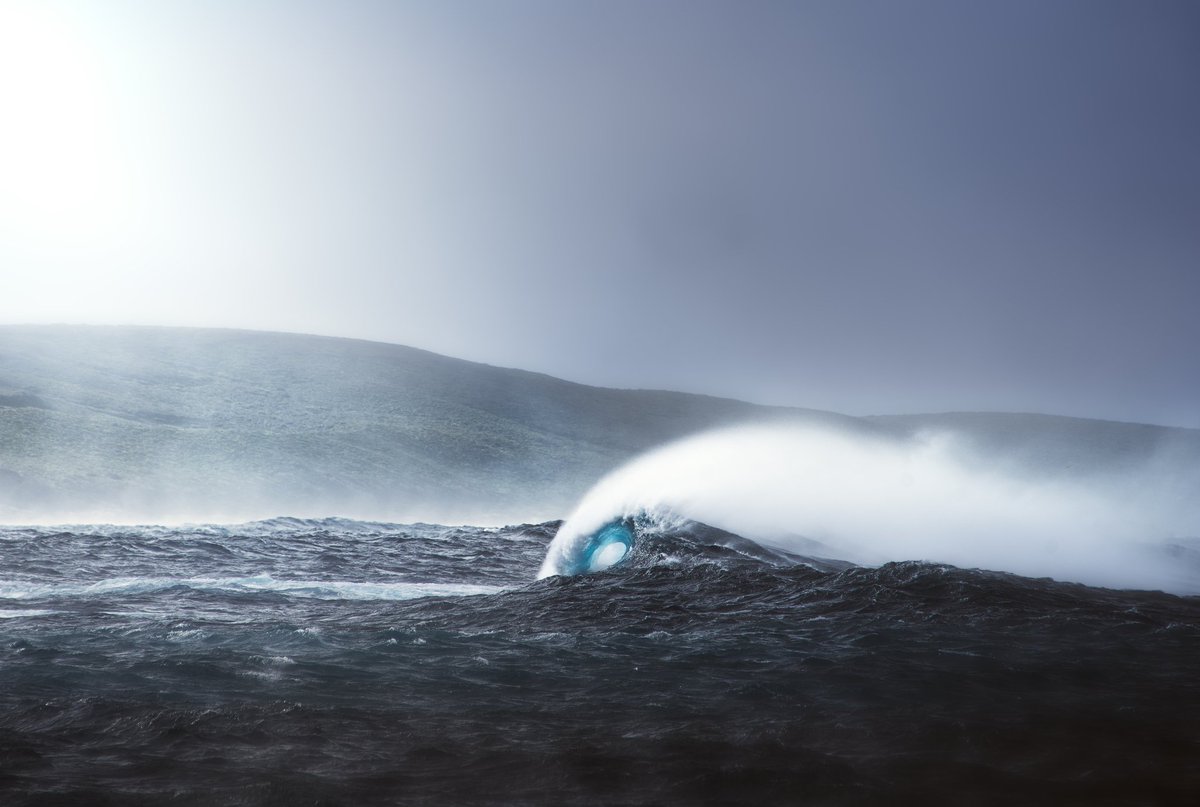 Jarvis Smallman tweet media