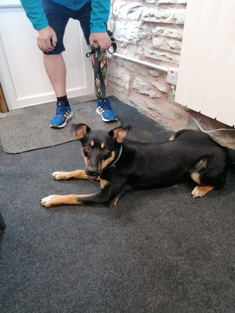 ATiCUWTSD's tweet photo. ATiC &amp; PERCH @UWTSDPsych colleagues visited @limbartcovers this week to prepare for the final part of our #AccelerateWales #research exploring prosthetic leg covers’ impact on #amputees &amp; public attitudes towards them.

And delighted to meet Crempog!🐶

🔗 https://t.co/nUew7zhn0O https://t.co/S5Mq24KQGG