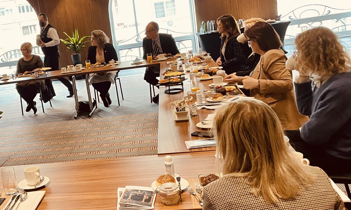 NDI North Macedonia 🇲🇰 tweet media