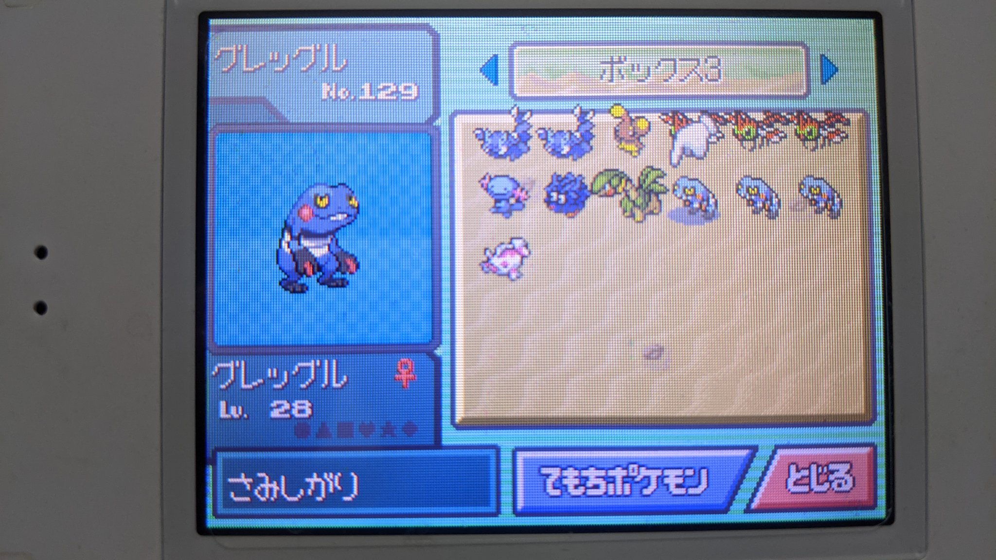 バーニングレイン プラチナは飽きずにちゃんとやってます 捕まえてはジョウト連れてって育成してるので進行が遅いだけです ノモセの大湿原でグレッグルとスコルピ捕まえたんでまた連れて行こうかな マキシは先ロトムからの草ワザ習得のサーナイトでサッと バーニングレイン プラチナは飽きずにちゃんとやってます 捕まえてはジョウト連れてって育成してるので進行が遅いだけです ノモセの大湿原でグレッグルとスコルピ捕まえたんでまた連れて行こうかな マキシは先ロトムからの草ワザ習得のサーナイトでサッと
