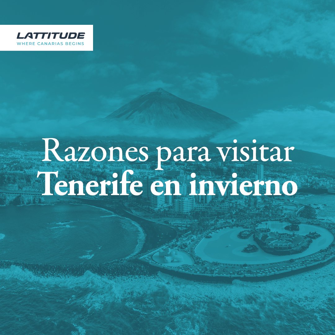 ¿Quién necesita empujoncito para visitar Tenerife?

☀️Sol y temperatura de 20 grados
🏄‍♂️Deporte al aire libre: golf, surf, ciclismo...
❤️Descubres la cultura guanche
🌋Riqueza natural: cimas volcánicas, playas de todo tipo, miradores...
🍽️Gastronomía propia y de calidad
