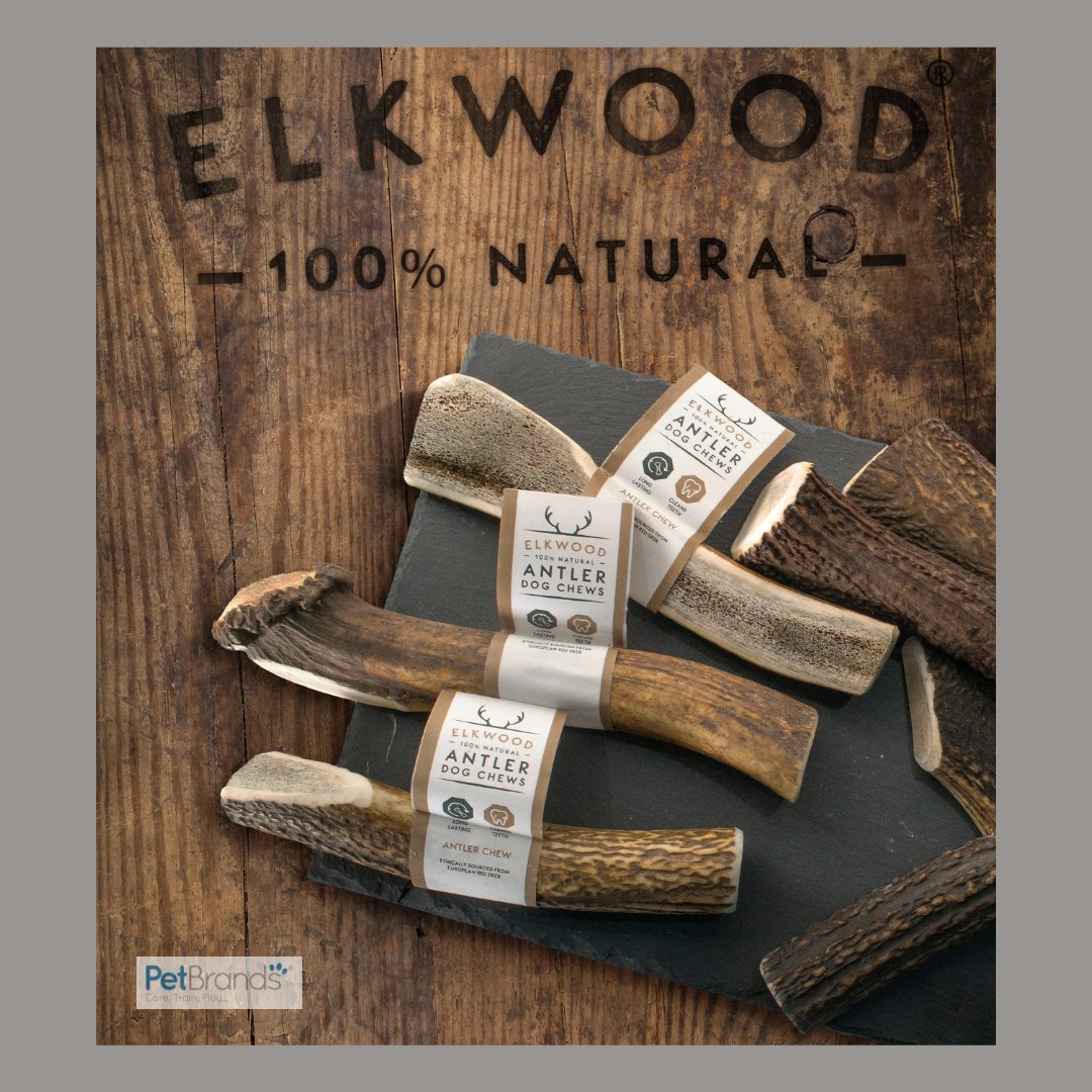 Did you know, 65% of millennials have a stronger preference for natural products than their older peers? Remember, a third of new pet parents are millennials or gen Z!

#PetBrands #Pets #NaturalPetProducts