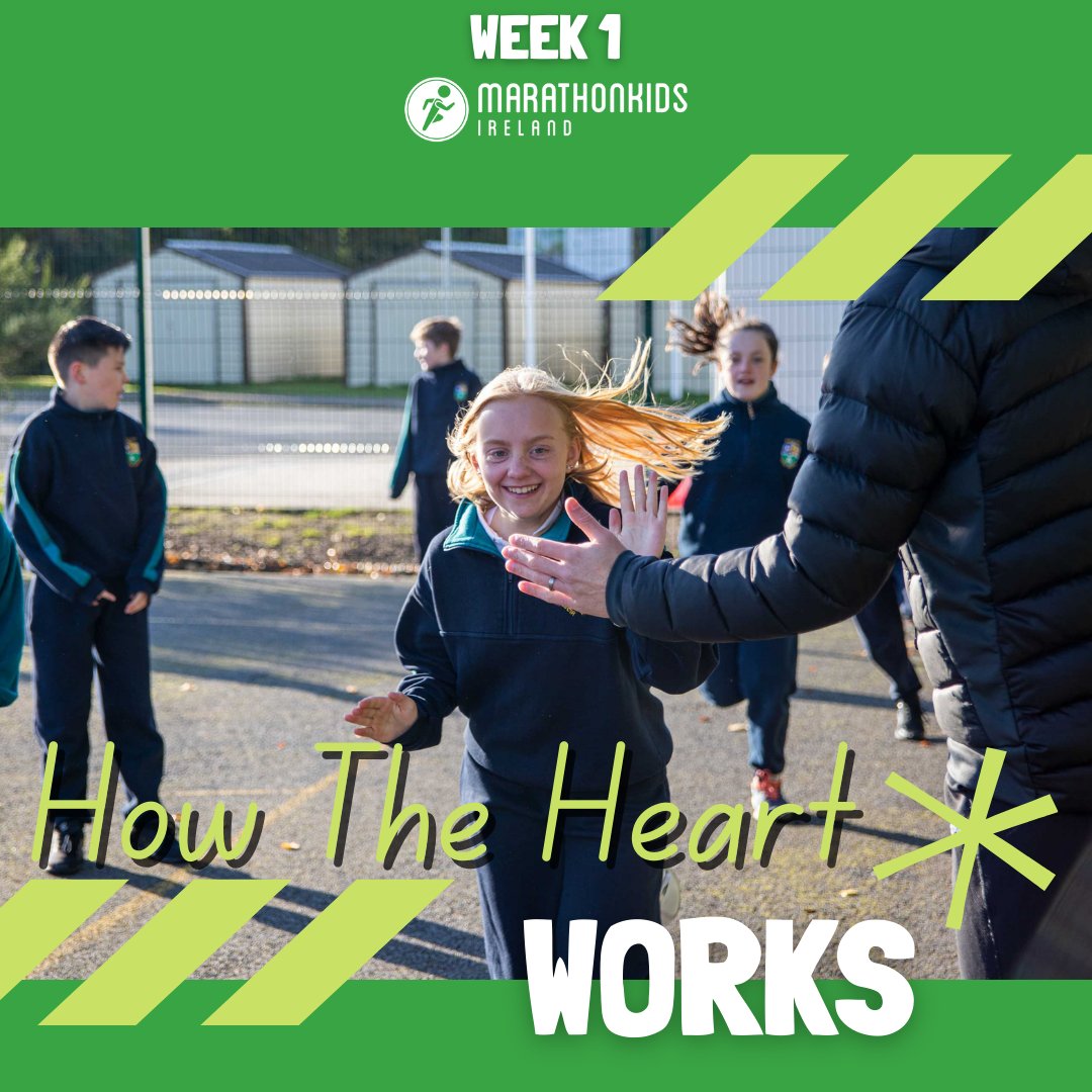 MarathonkidsIre's tweet photo. Just before your heart beats it fills with blood,the muscles of the heart then contract and squirts the blood around the body, when the heart contracts it squeezes.
#marathonkidsireland #marathonkids #dublinkids #runningireland #dublinrunning #schoolireland #sportprogramme https://t.co/ojzFVTiS4H