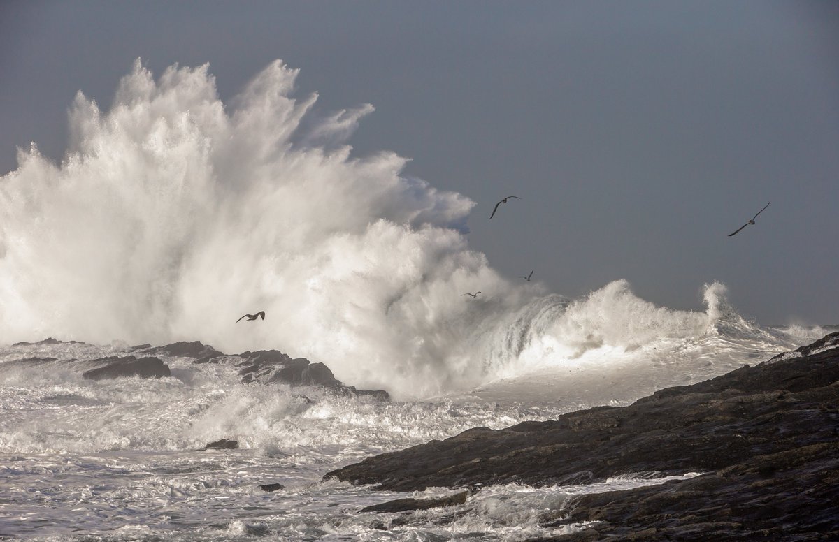 For the birds , Storm Franklin arrives to the West coast  #StormFranklin #seascape