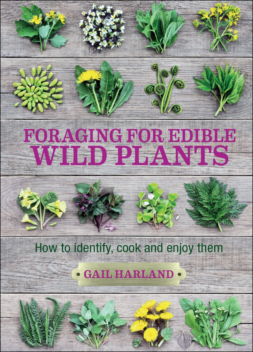 🌱Tomorrow is publication day for the amazing FORAGING FOR EDIBLE WILD PLANTS by Gail Harland.🌱 
Learn about different wild plants and the ways you can enjoy them in your cooking. Get your copy here ow.ly/ycf750I24a3 #Nature #Gardening #Books #Recipes #EdibleWildPlants