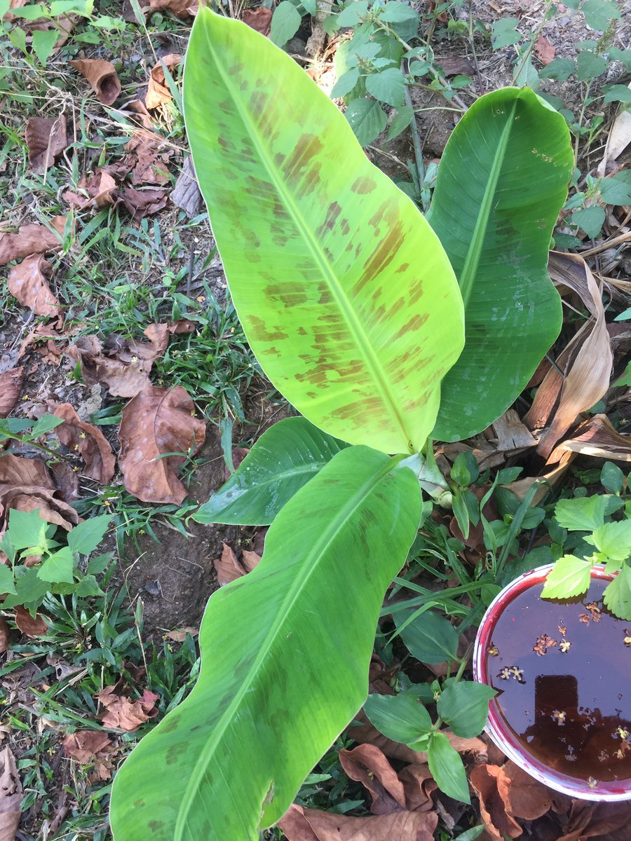 4WD_Shop's tweet image. สนใจ สะกิตมา ราคา คุยกัน