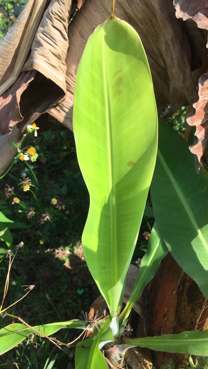 4WD_Shop's tweet image. สนใจ สะกิตมา ราคา คุยกัน