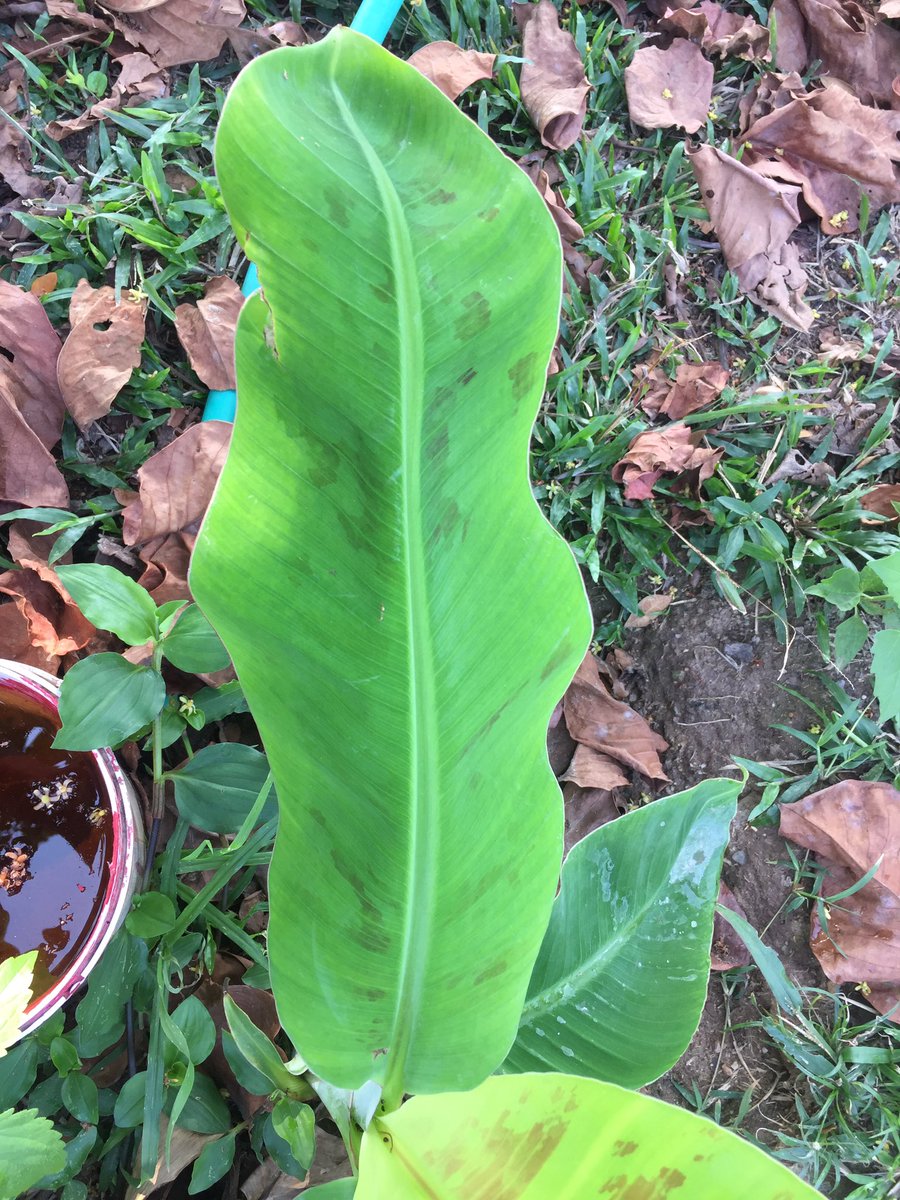 4WD_Shop's tweet image. สนใจ สะกิตมา ราคา คุยกัน