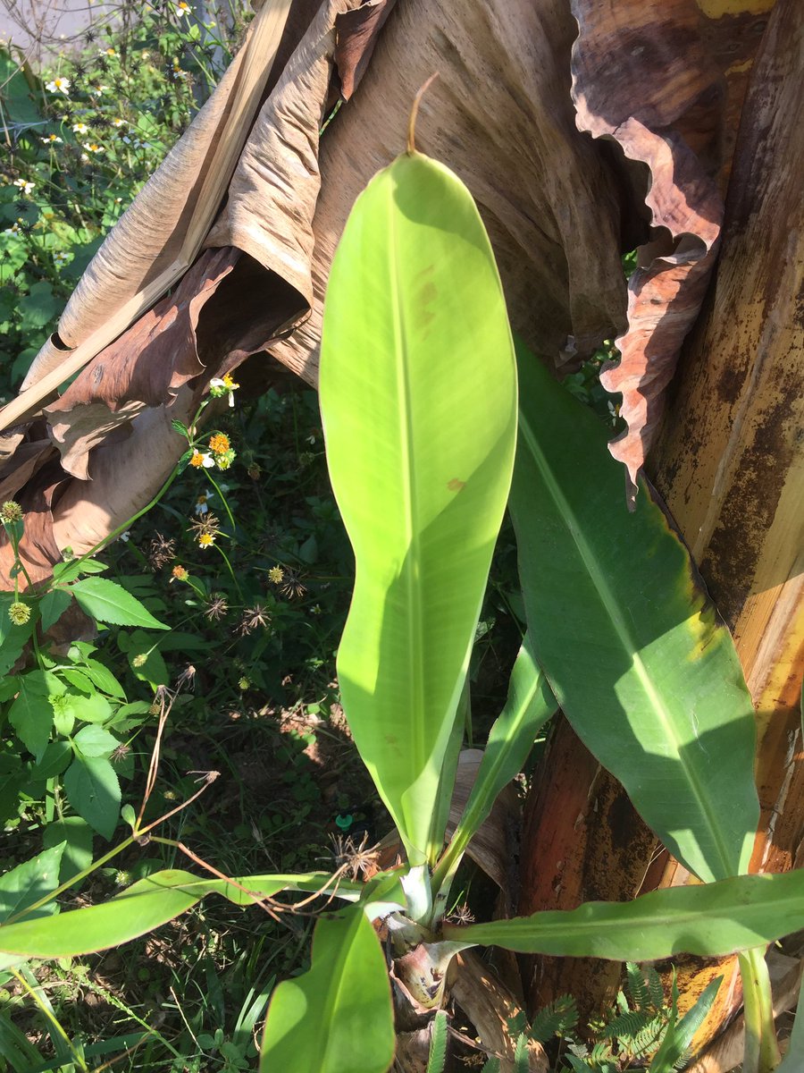 4WD_Shop's tweet image. สนใจ สะกิตมา ราคา คุยกัน