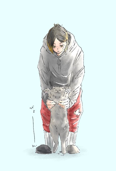 伸びるねこのtwitterイラスト検索結果