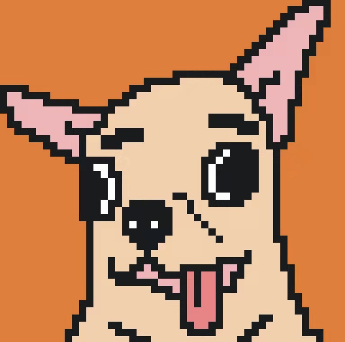 Let’s gooooo🚀🚀🚀 #StupidChihuahuaClub