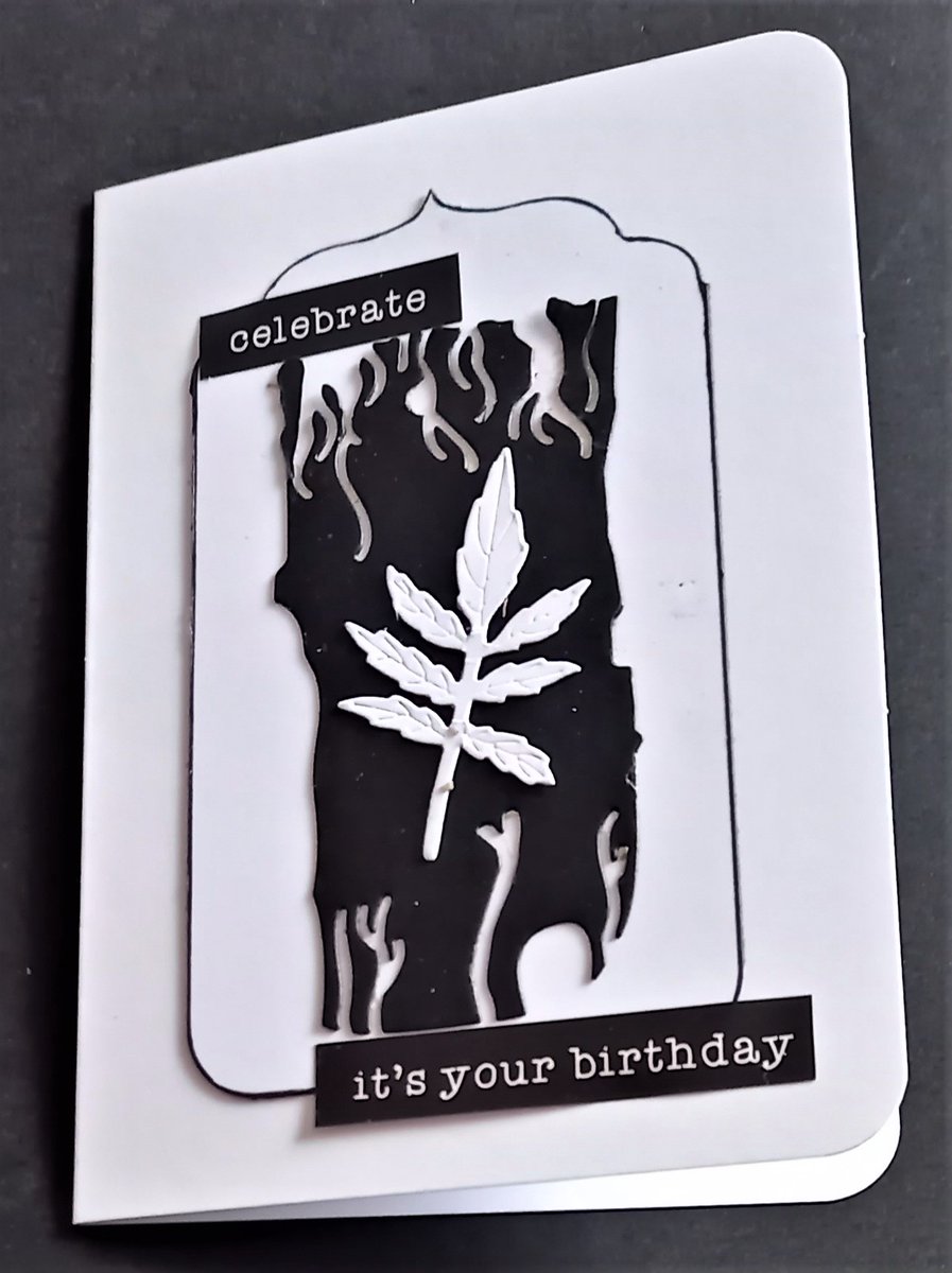 Fizzydesgns's tweet photo. #Monochrome #blackandwhite #birthdaycard #gifttag #minicards using dies and stamps including stickers from @lisahortoncraft #crafting #crafts #craftaddict #craftblogs https://t.co/jY0ALLilzZ