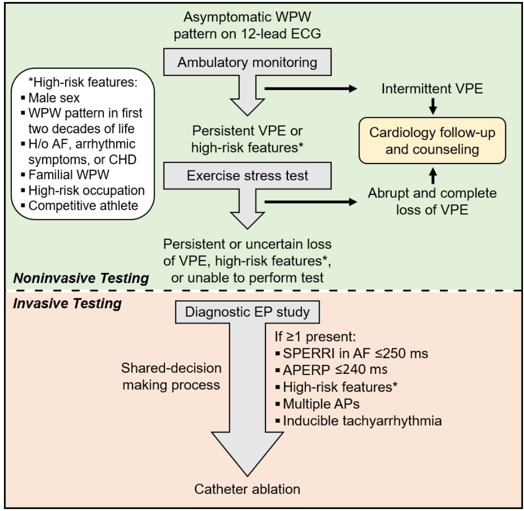edurontoFF's tweet photo. .Que hacer en nuestra practica diaria con un paciente con preexitacion ventricular? El flow chart es para tener presente en la consulta.  https://t.co/WWzJA4Oopc
@SAC_54 @SIAC_cardio @ComunidadFAC @CONAREC_ORG @CicuUruguay https://t.co/jHFFz9ymPq