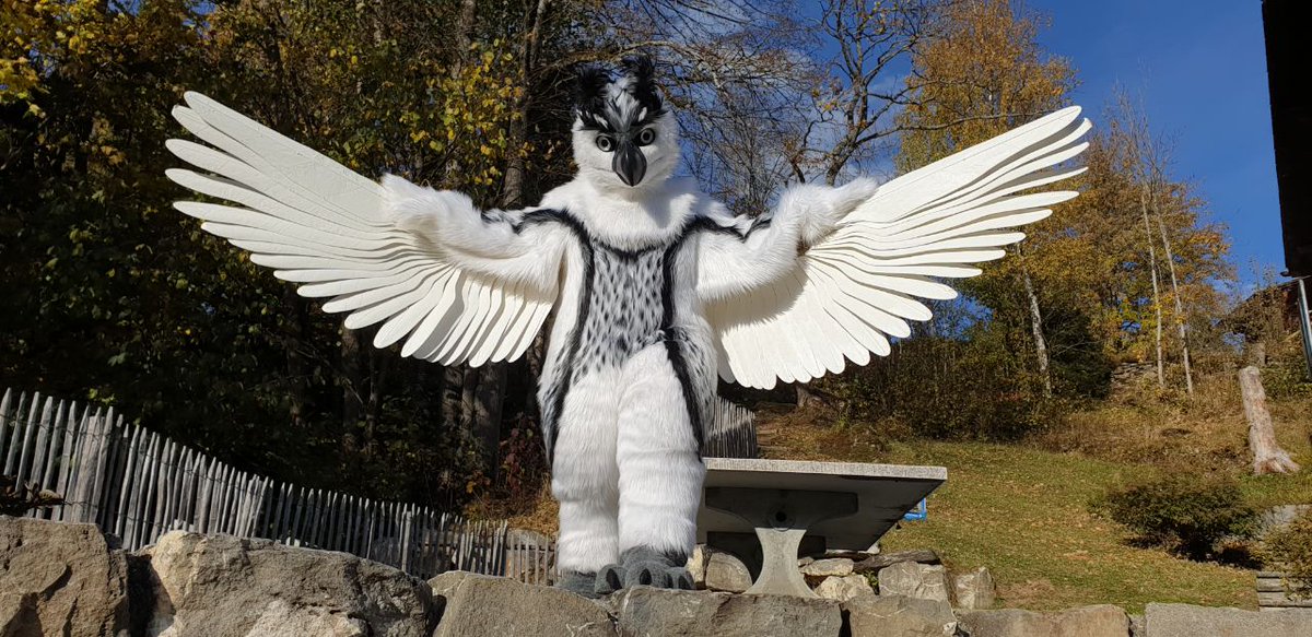 Whitewing Creations tweet media