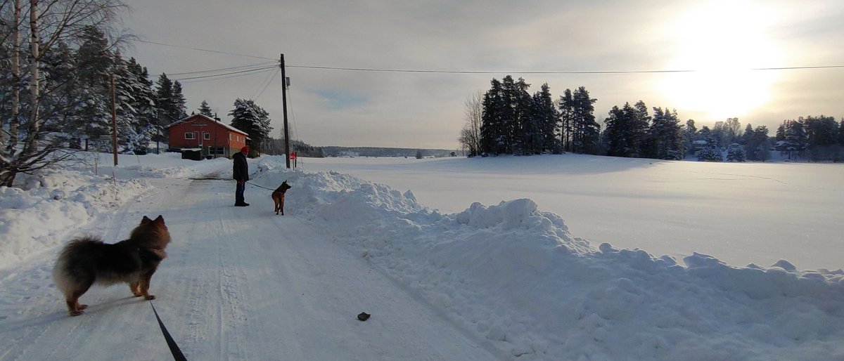 petterin1's tweet photo. #mipueblomipaís #kotikylällä #hemby https://t.co/GtHYzefTJN
