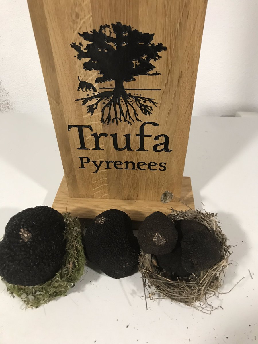 We are in late season but truffles are in their best quality!
