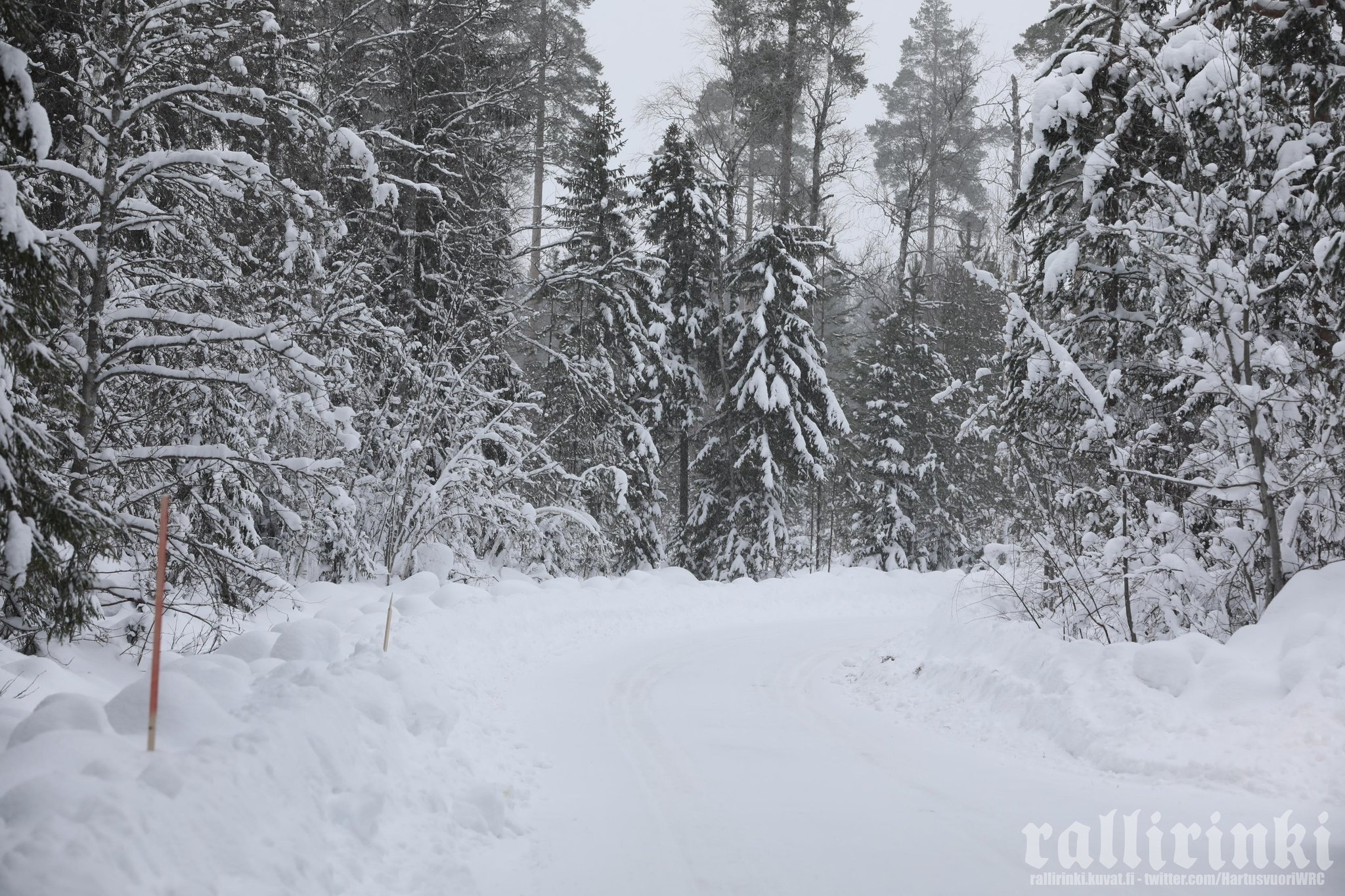 WRC: 69º Rally Sweden [24-27 Febrero] FMRyp71XwAE5-MT?format=jpg&name=large