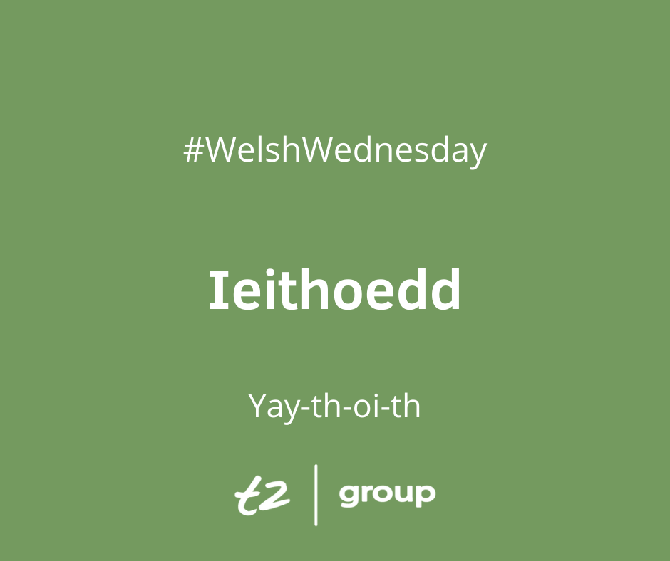 t2apprentice's tweet photo. On Monday it was International Mother Language Day, so our #WelshWord for this week is 'Ieithoedd' which stands for 'Languages' #mamiaith #WelshWednesday @NTFWwbl https://t.co/7PQ19kERcB