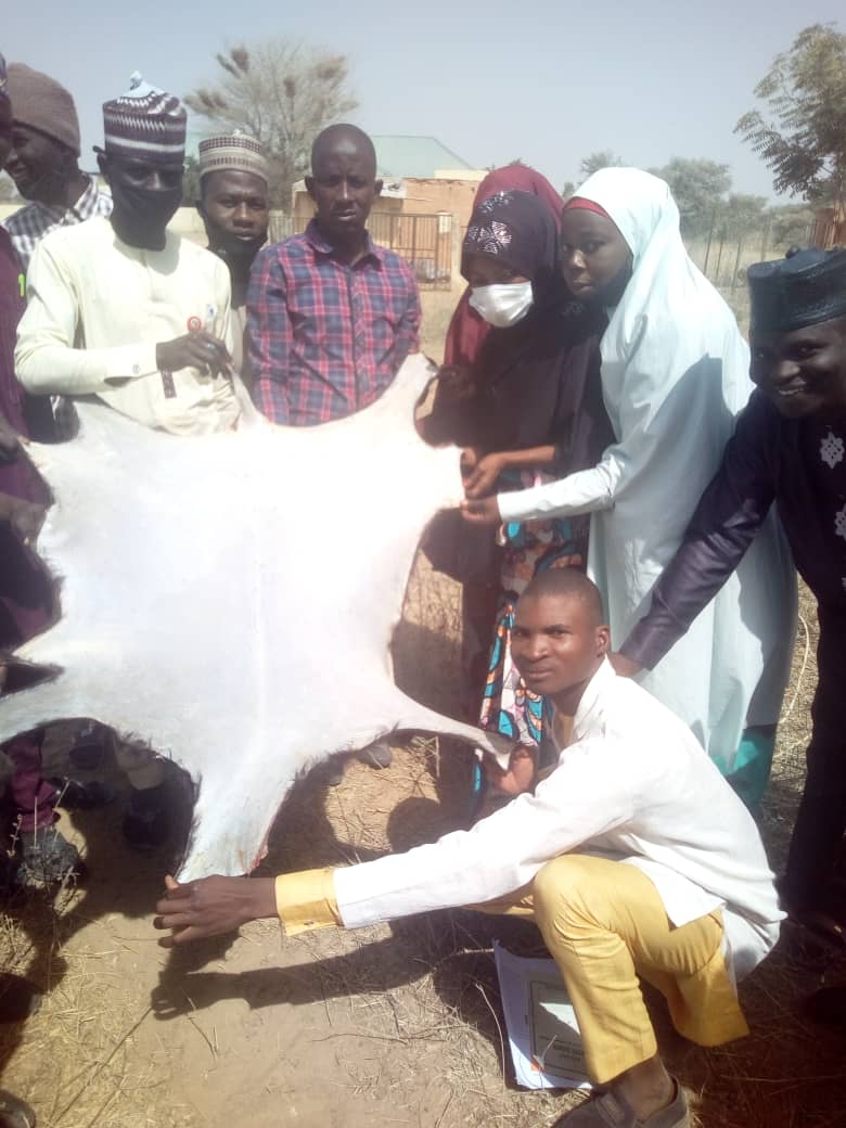 ABCOA_Danbatta's tweet photo. Students from HND Animal Production Technology, Audu Bako College of Agriculture Danbatta have done practical work on leather and skin improvement (Goat Skin Tenney using facilities available locally).
#Students
#Department of APT
#Abcoad https://t.co/3CC9hNwcze