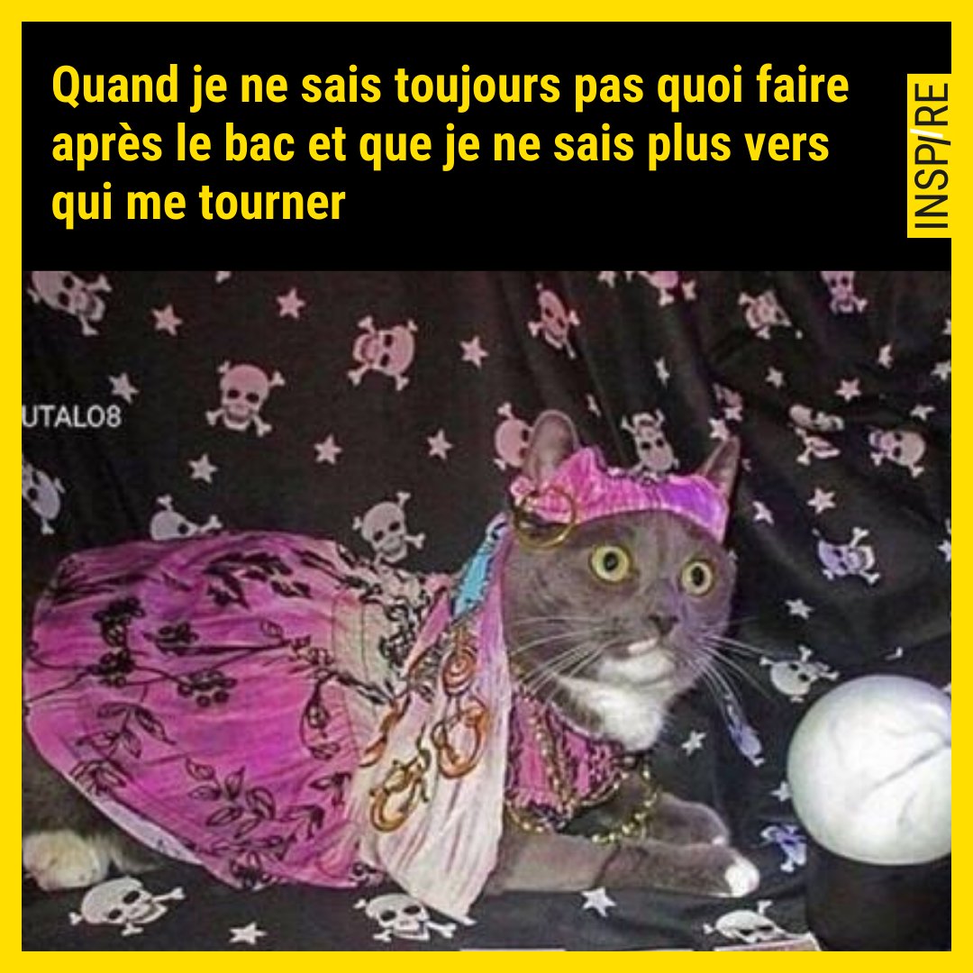 😂😂
.
.

#parcoursup #study #studygram #erasmus #universite #ecole #etudiant #businessschool #prépa #revision #salonetudiant #orientation