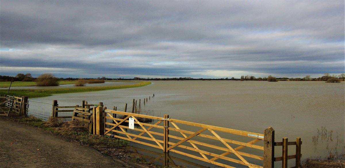 JohnStockill17's tweet photo. the gates 'holding back' the #flood waters of the river #derwent in the fields exactly one year ago - and its the same again today at #bubwith! https://t.co/5e11l4iBA0