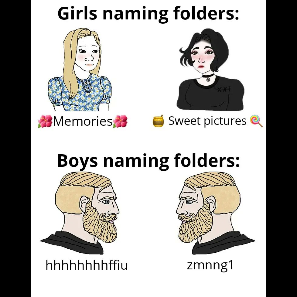 Meme Generator en X: The most accurate meme I've seen recently.  #boysvsgirls #chad #namingfolders  / X