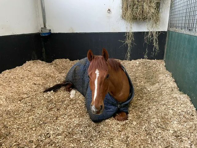 HambletonRacing's tweet photo. βοΈSound ReasonβοΈ is making the most of these quieter days at @kevinryanracing before the season gets going once again π π π #notlongtogonow #hambletonteam #soundreason https://t.co/J8rVKE1j1D
