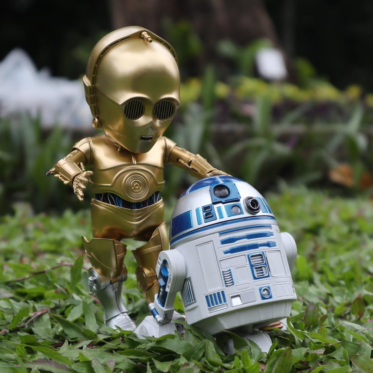 lonepineapparel's tweet photo. “Excuse me sir, but that R2-D2 unit is in prime condition, a real bargain"
🎬 Star Wars

Photo by Mulyadi via @unsplash

#starwars #R2D2 #C3PO #yoda #darthvader #disney #jedi #kyloren #clonewars #themandalorian #lukeskywalker  #mandalorian #anakinskywalker #stormtrooper https://t.co/ybextX6zJg