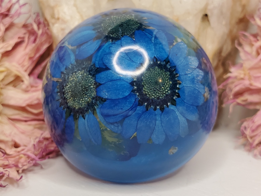 C4StudiosNC's tweet photo. Are you ready for Spring? We sure are! It hasn't been a particularly hard Winter here in NC but cold is just not my thing! :) https://t.co/plXpojcqCU
#cfourstudiosnc #sparkleandshine #resinpaperwieghts #readyforspring #driedflowerart #under1k https://t.co/ptA1UCto7y