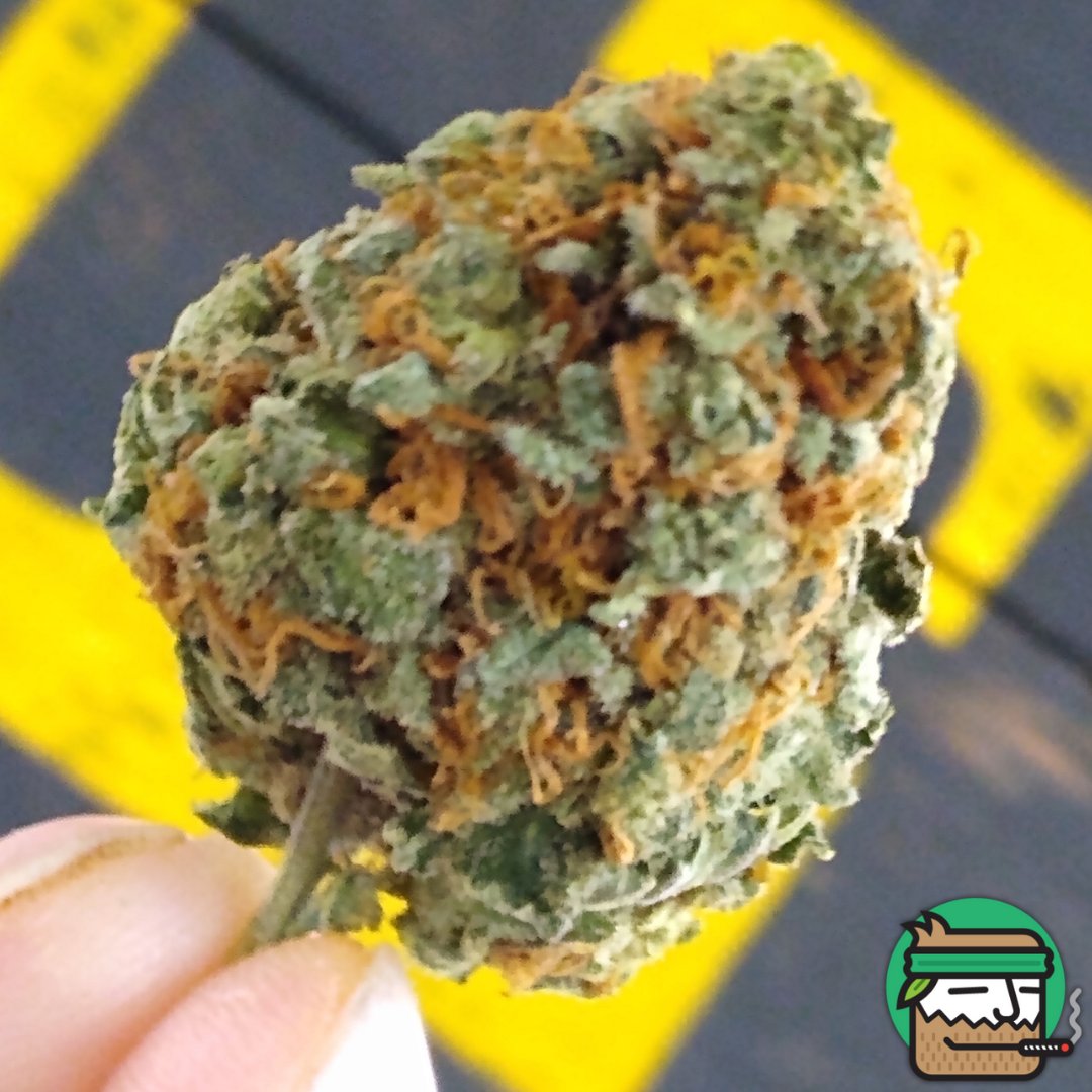 Happy Weednesday!