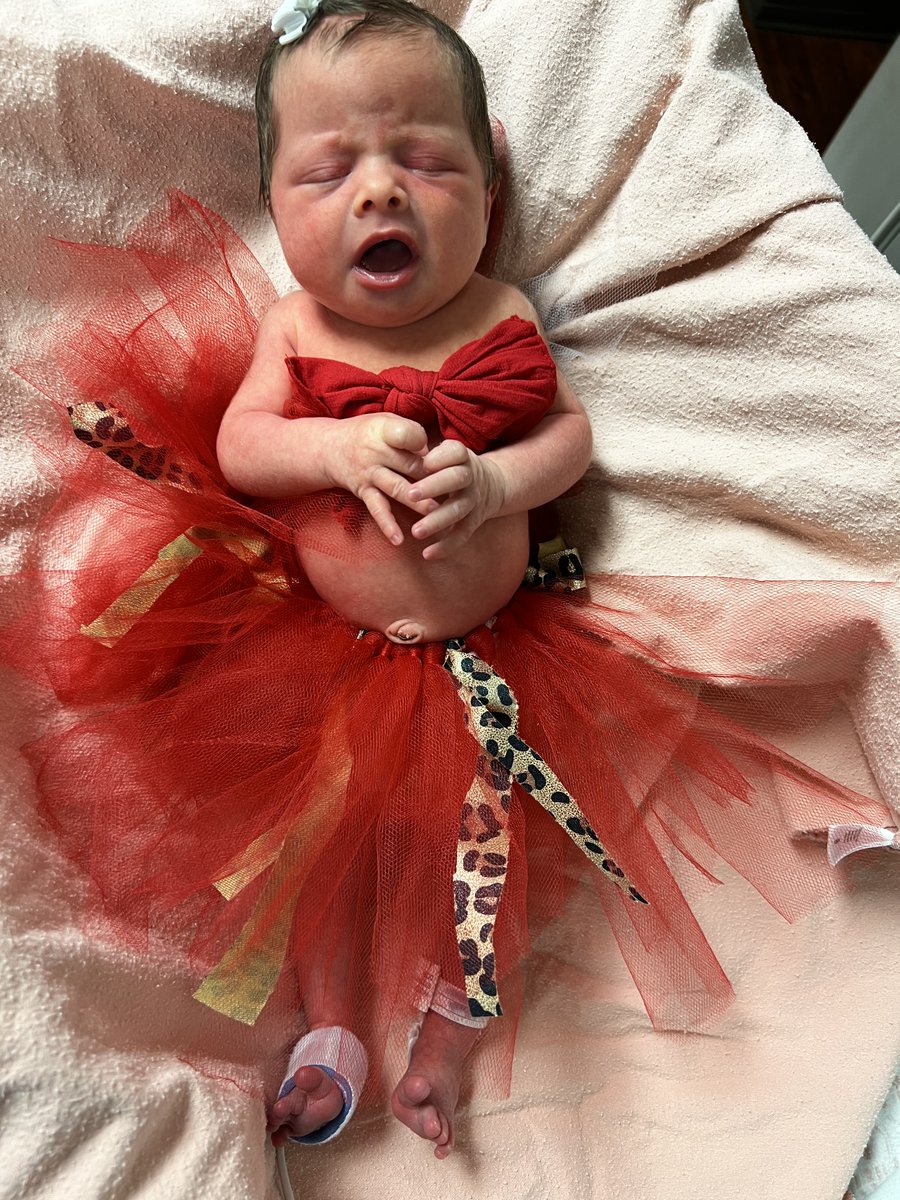 StBernards's tweet photo. Yesterday, our #NICU baby girls got dressed up in tutus for 2.22.22. We definitely think the NICU knows how to celebrate! https://t.co/kKzp6GML6m