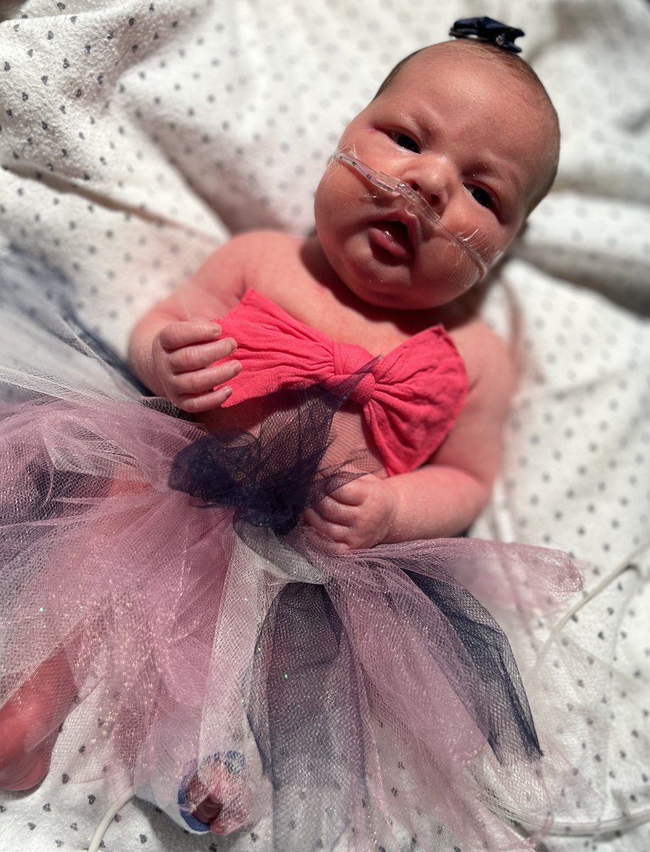 StBernards's tweet photo. Yesterday, our #NICU baby girls got dressed up in tutus for 2.22.22. We definitely think the NICU knows how to celebrate! https://t.co/kKzp6GML6m