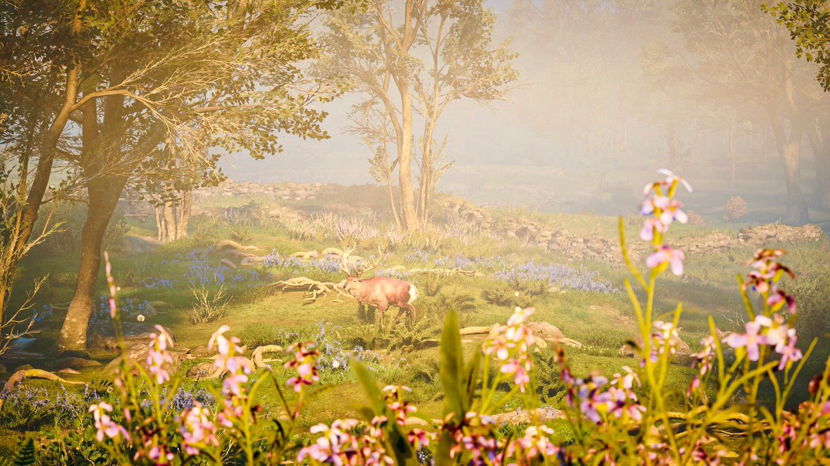 jules_vp_'s tweet photo. Ireland 

#WolfkissedWednesday 
#AssassinsCreedValhalla #ACFinest
#VGPWednesday #AestheticMotion https://t.co/WKjUhwl6dV