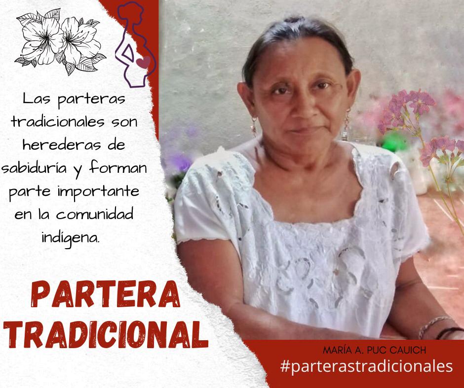 ✨Las #parteras cumplen un rol fundamental para preservar la vida en las comunidades. 
💥Pero no existen garantías para su libre ejercicio y tampoco son remuneradas económicamente, esto ha impactado en su preservación y ha precarizado su trabajo.