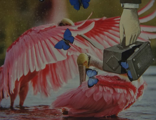 canyoncinema's tweet photo. This Friday 2/25, Lawrence Jordan's latest collage animation 𝐵𝑒𝑙𝑙𝑒 𝑑𝑢 𝐽𝑜𝑢𝑟 (2021, 10 min, 16mm) screens @filmstudiesctr @UChicago as part of "This Radiant World: Harmonies and Discords." 7pm, free!

https://t.co/IfKpCbgX0f

#CanyonFilms https://t.co/9bAHaoqwYy
