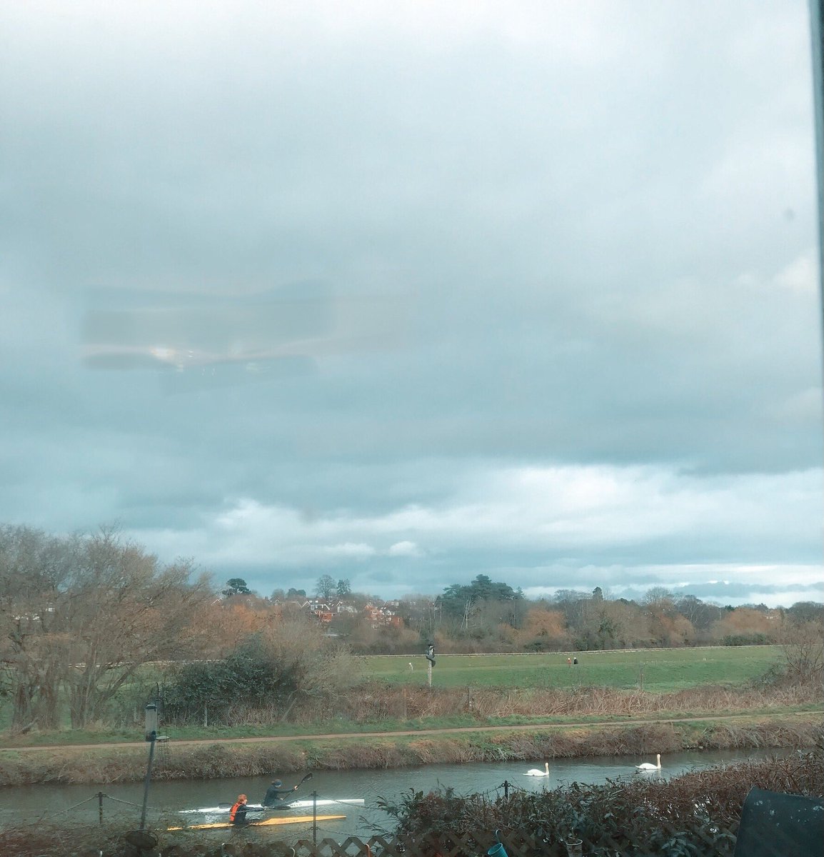 f_m_manning's tweet photo. Sometimes I take it for granted where I live, then I look out of the window next to my desk and see swans and rowers gliding past! 💙
#Exeter #UofE #Swans #canalviews #WFH https://t.co/0e1VhIZb88