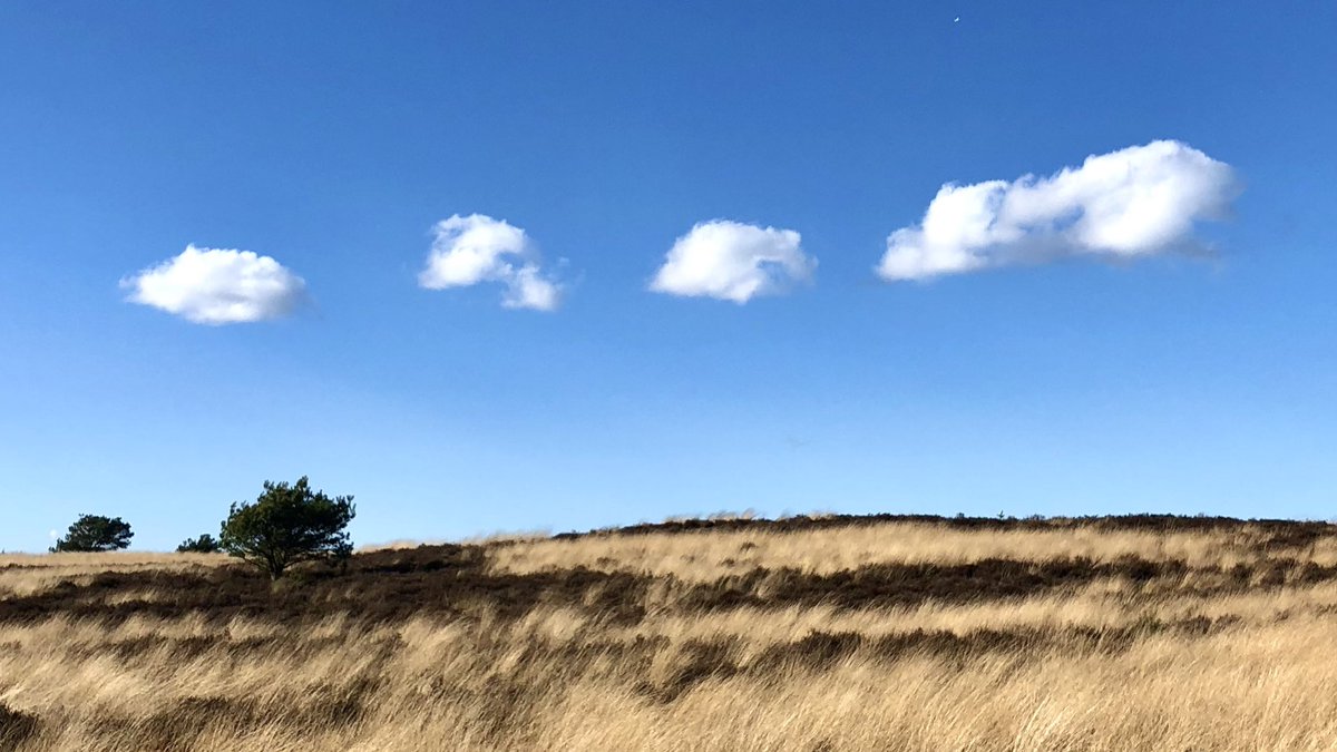 Wandelwolken tussen Liesberg &amp; Staverden <a href="/MooiNunspeet/">Mooi Nunspeet</a> #lux.