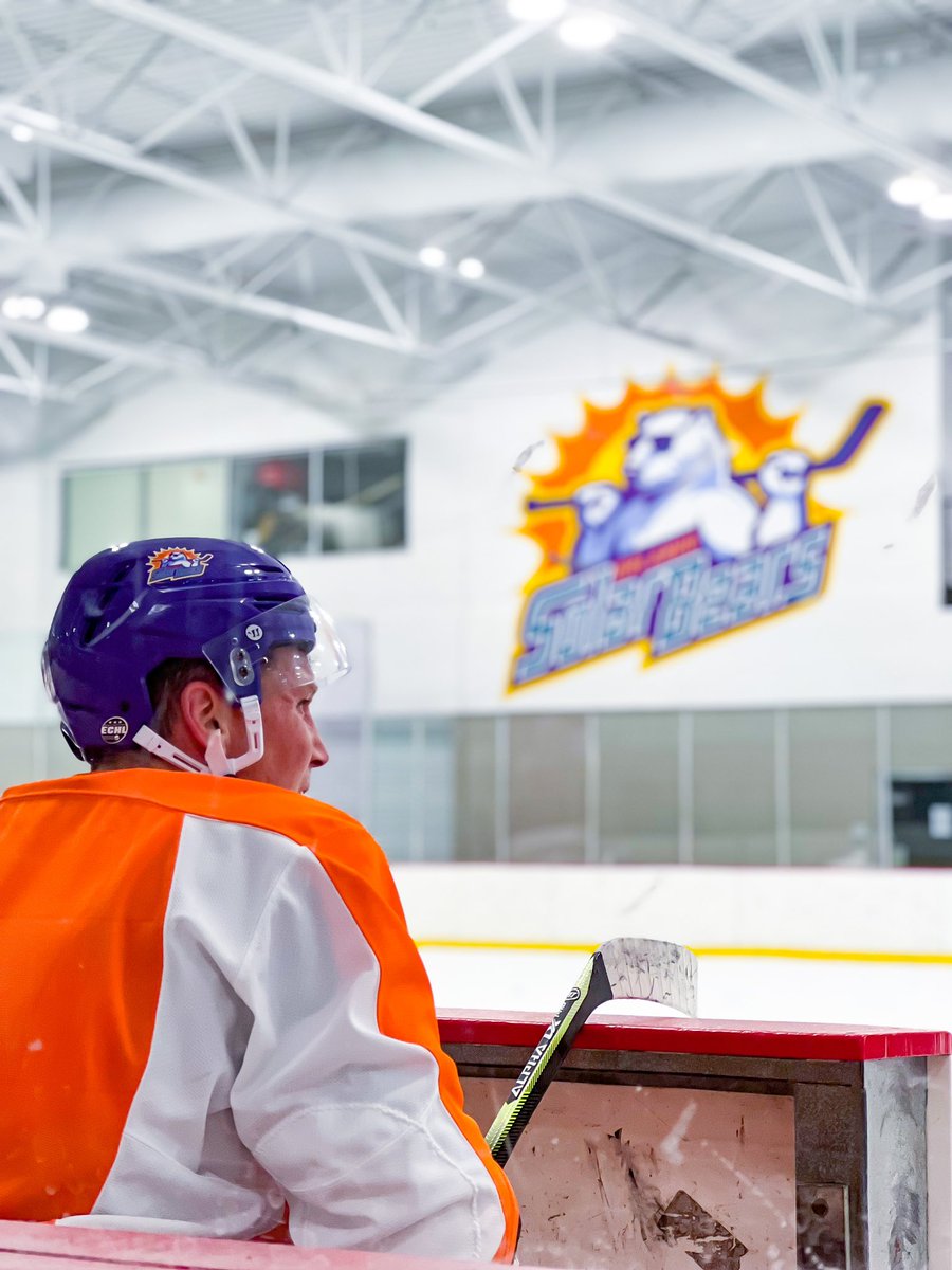 Orlando Solar Bears tweet media