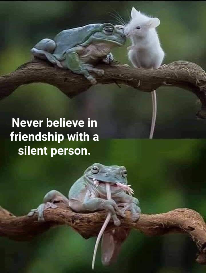 true....true...
