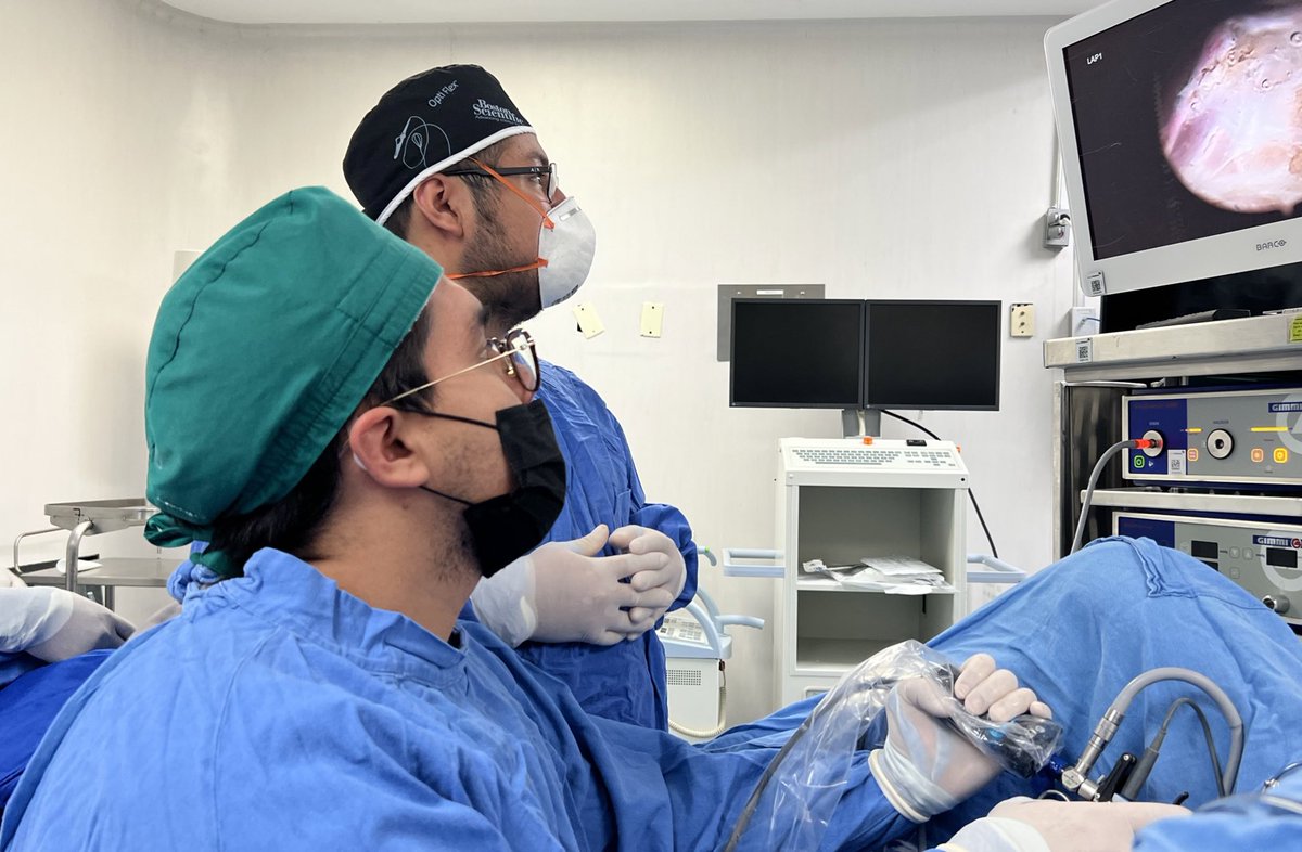 uro_logo's tweet photo. R4 ↗️R5
R2↗️R3

Crecen tan rápido #urology https://t.co/ViQOgBtysj