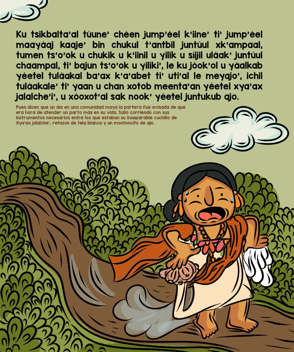 Museo Palacio Cantón tweet media