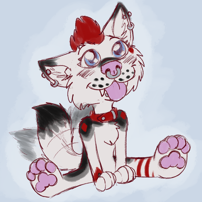 TheStonedWoofer's tweet photo. UwU where's the cuties at? Let's be friends~
#furry #streamer #wolf #twitchaffiliate #howdoesonetwitter https://t.co/8BSJ2tCz0e