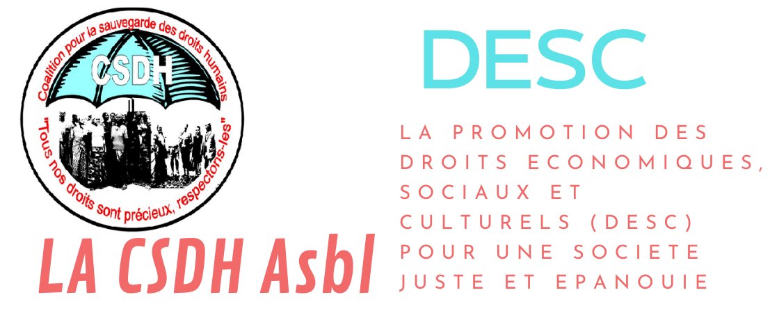 COALITION POUR LA SAUVEGARDE 2DROITS HUMAINS-CSDH tweet media