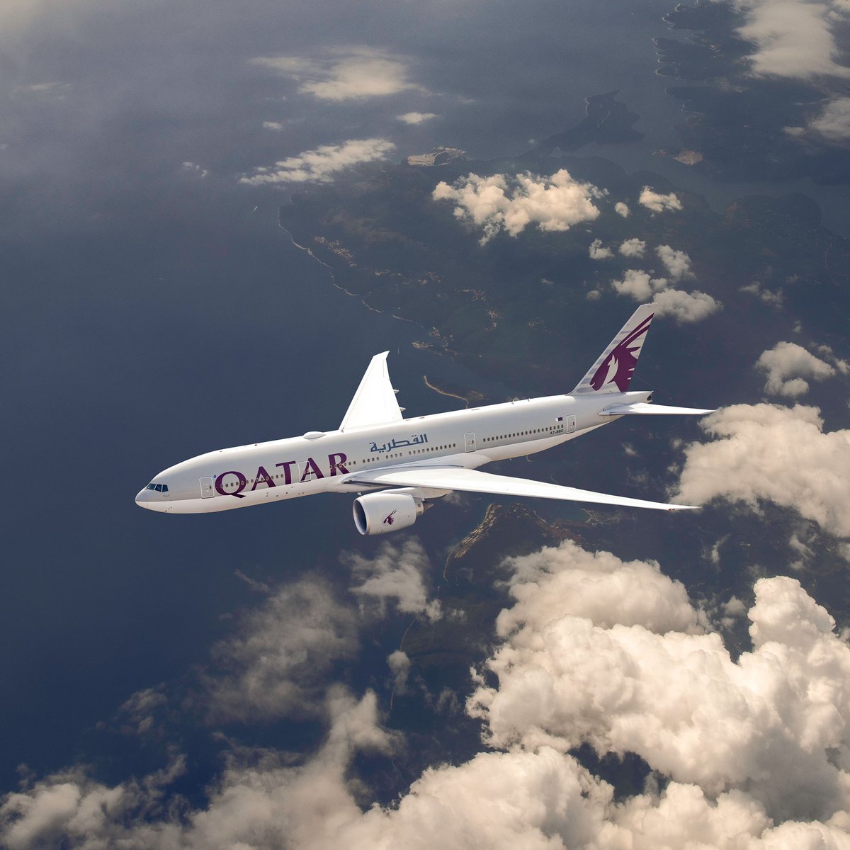 Qatar Airways tweet media