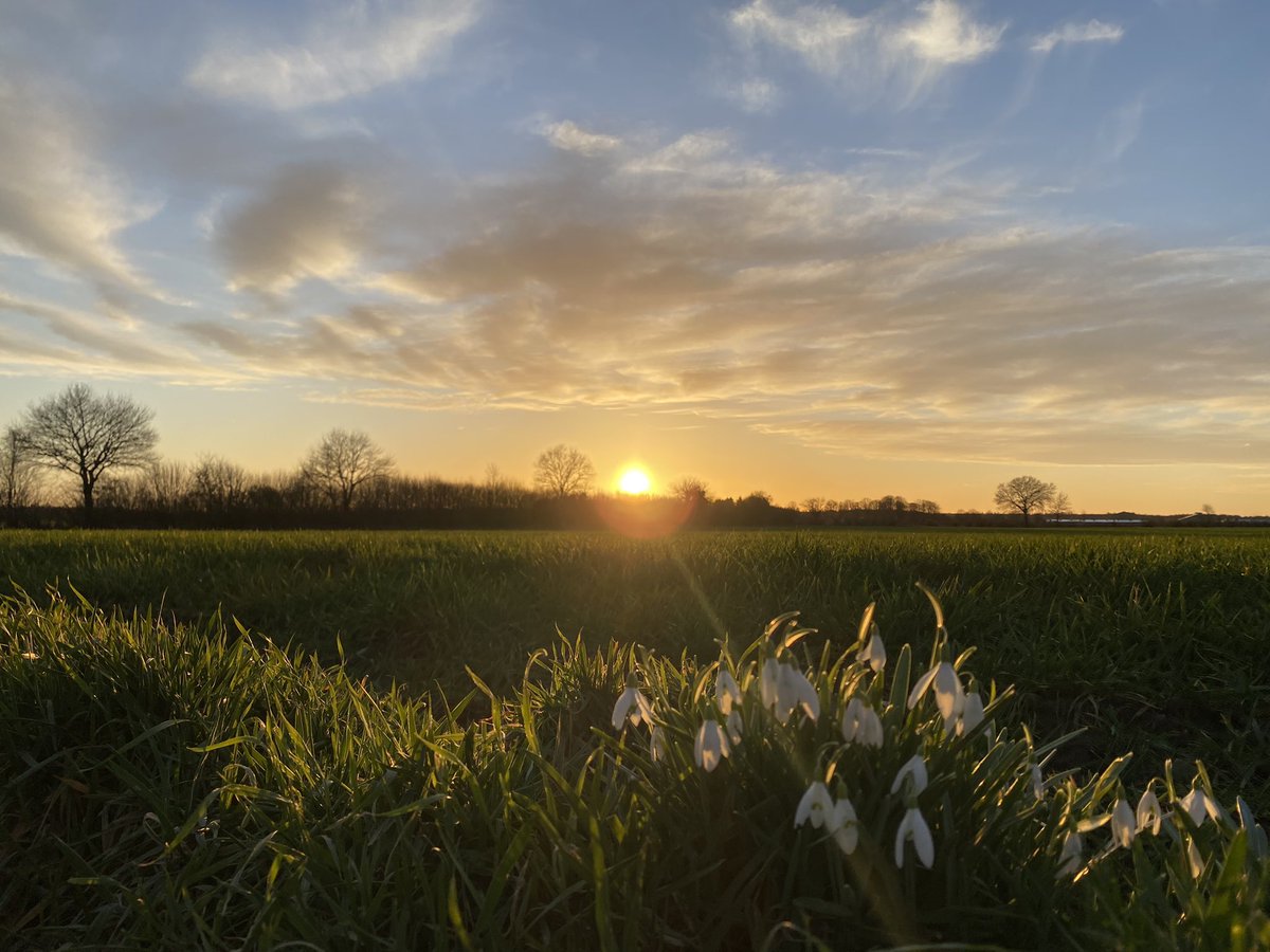 its_vanessa_'s tweet photo. Just taking a little walk with my dog ☺️🐶 #SkyForNamjoon #springisclose #sunset #February https://t.co/sV2Bu8SpA3