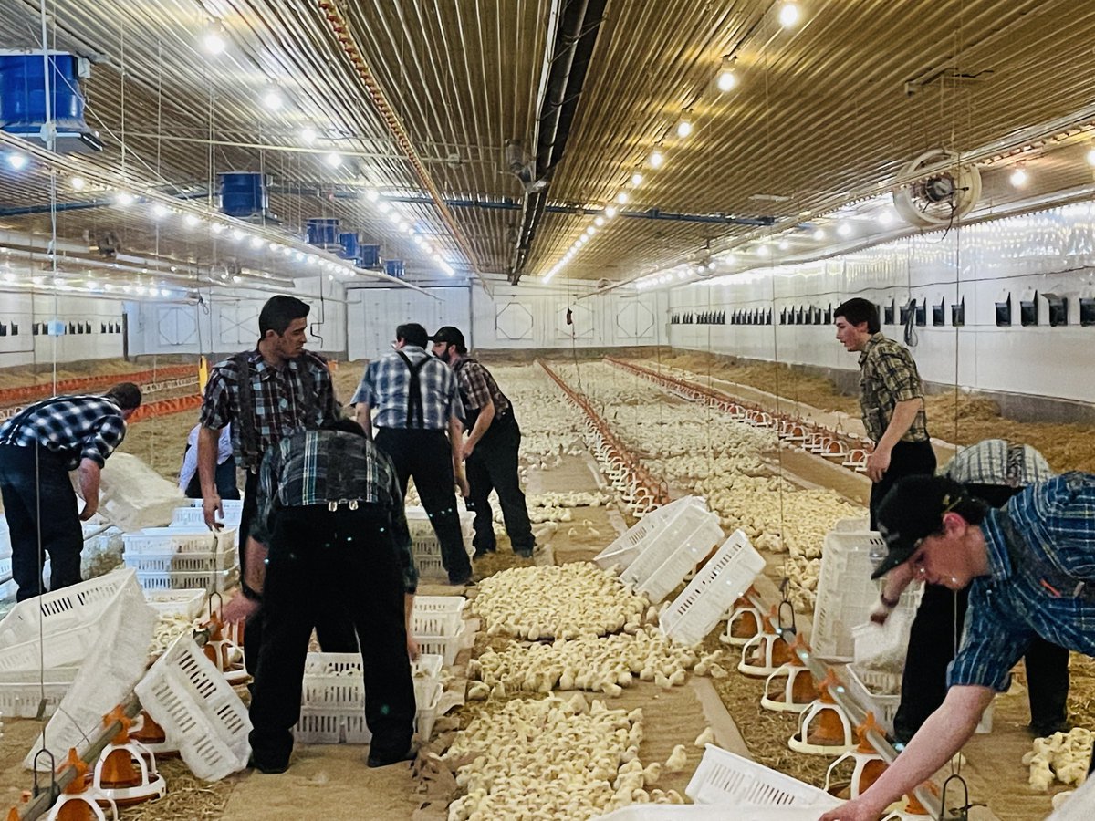 george hofer tweet media