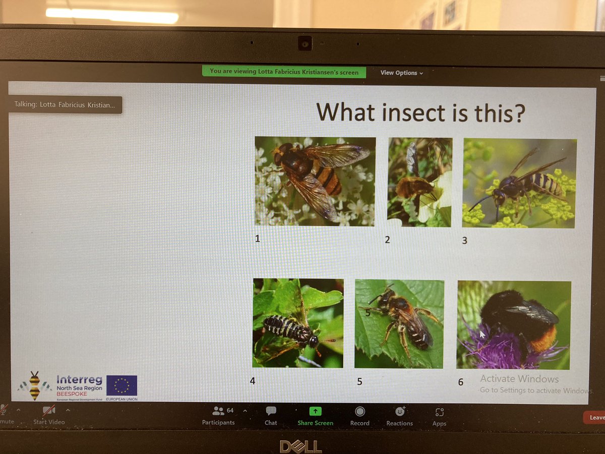 Really enjoying todays BEESPOKE Promoting Pollination Webinar! Loving the quiz! <a href="/NRIPSociety/">NRIPSociety</a> <a href="/CTP_FCR/">CTP-FCR</a> <a href="/NRInstitute/">NRI</a> Phew all 6 right 🥳